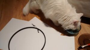 IMG_20140415_212538359