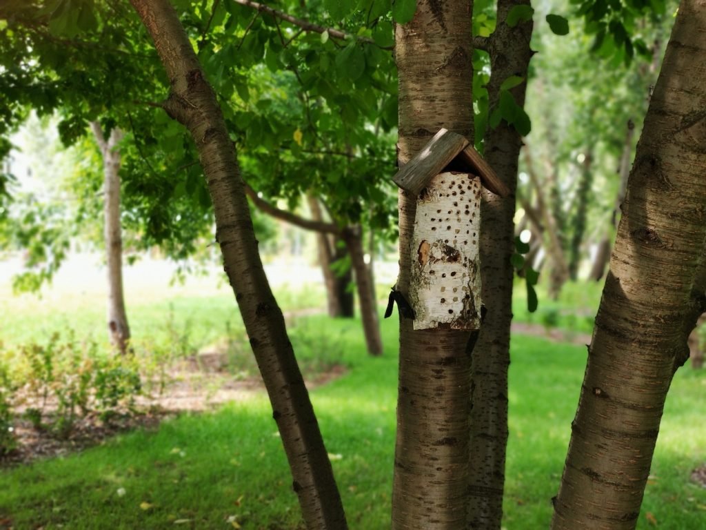 ekopark ursus