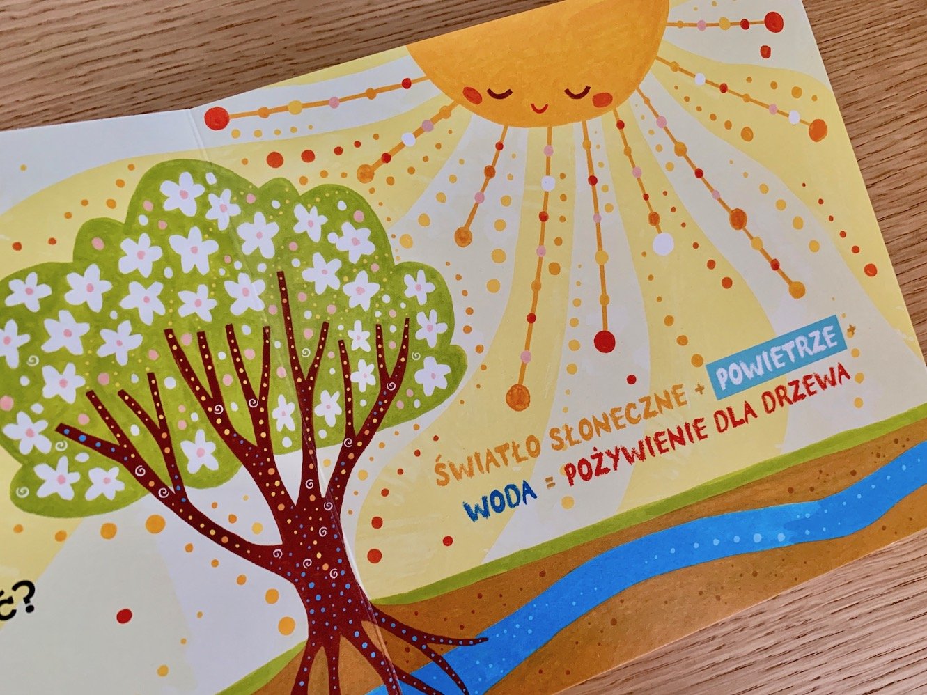 bobas odkrywa naukę