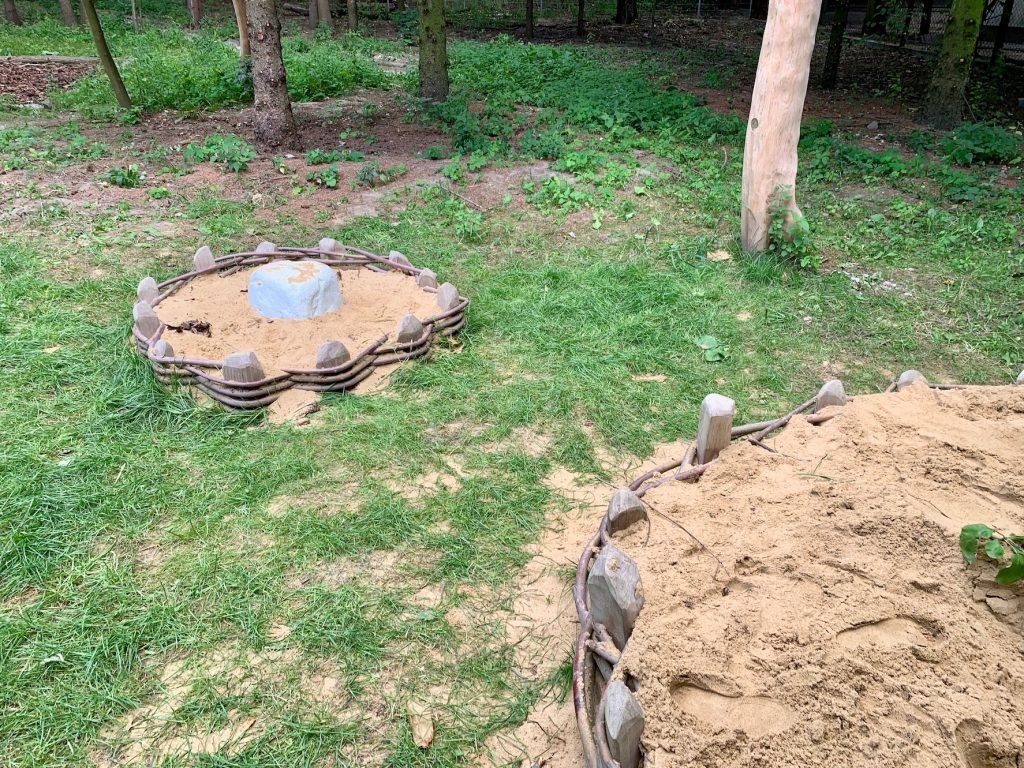 leśny naturalny plac zabaw w powsinie