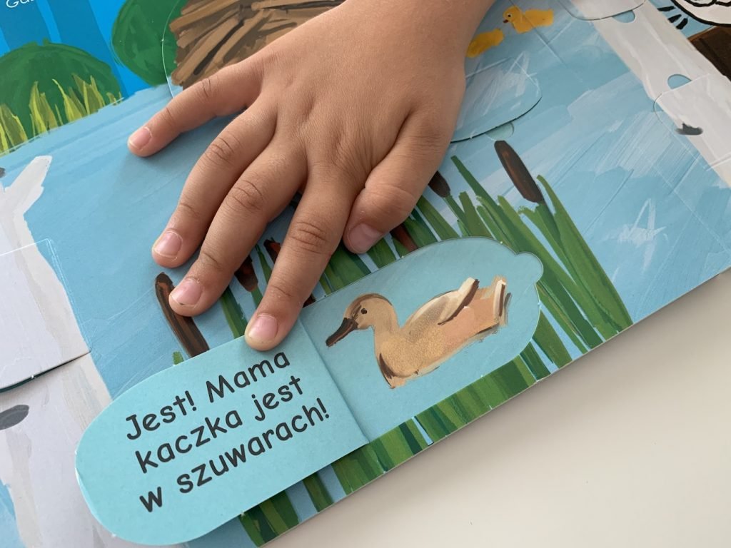kicia kocia z okienkami