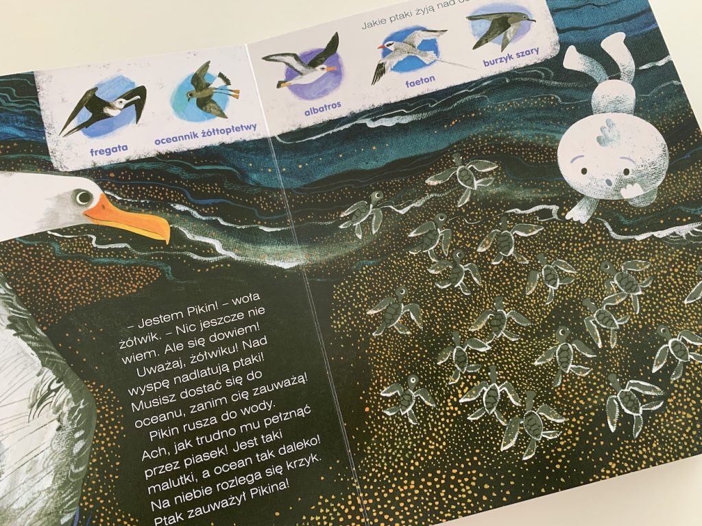 żółwik z oceanu