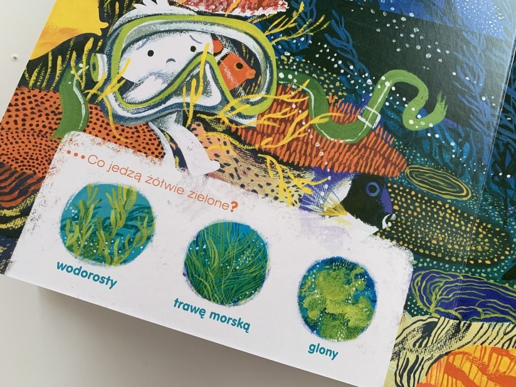żółwik z oceanu