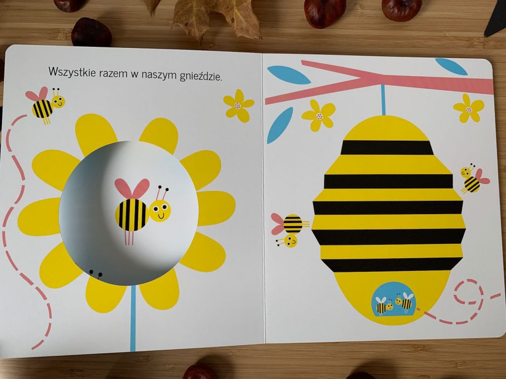 książki dexet