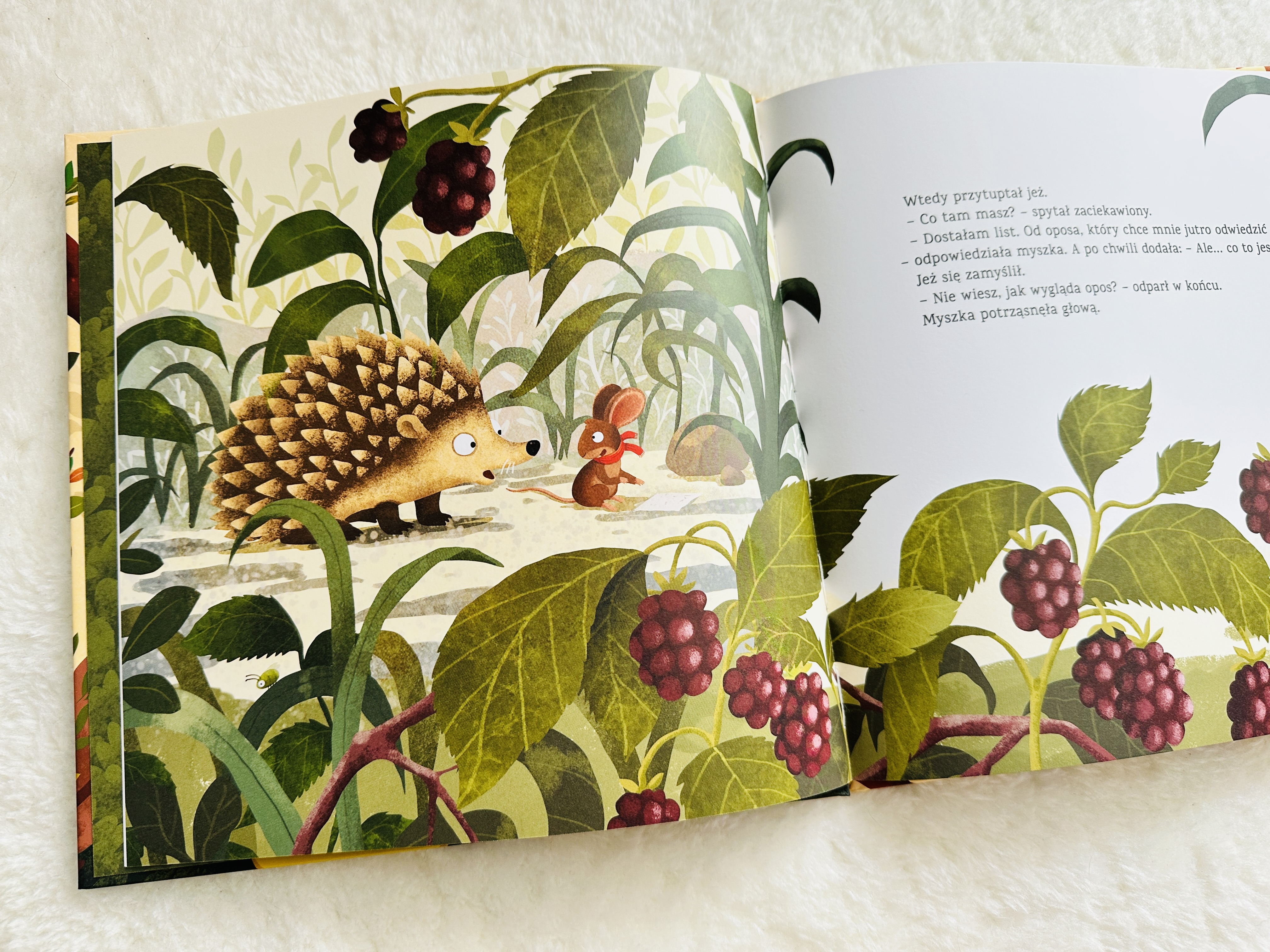 17 książek dla przedszkolaków – zabawne i mądre propozycje